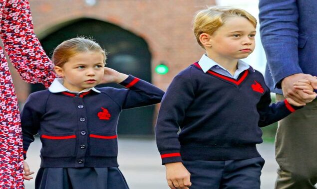 ﻿The ‘dream careers’ of Princess Charlotte and Prince George have been revealed