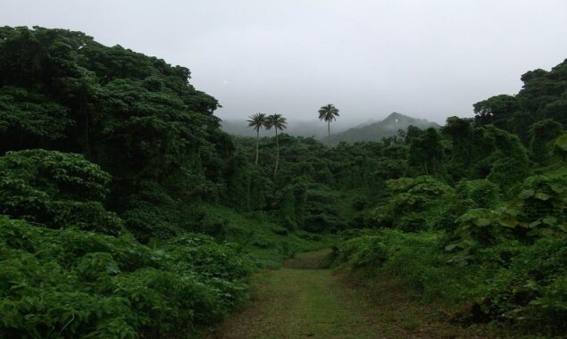 Cook Islands records first Covid death