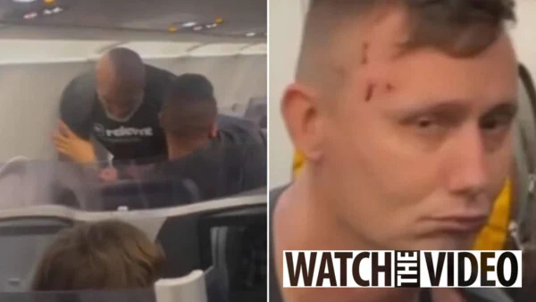 Watch startling event On an aircraft, Mike Tyson hits a fellow passenger ‘who wouldn’t stop talking to him.’