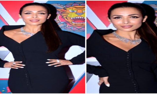 Malaika Arora in black mermaid gown,