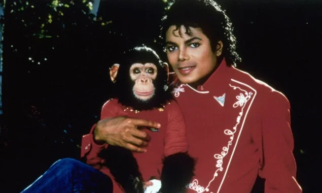 Bubbles, Michael Jackson’s chimp, tried to kill himself and was abused.