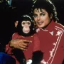 Bubbles, Michael Jackson’s chimp, tried to kill himself and was abused.