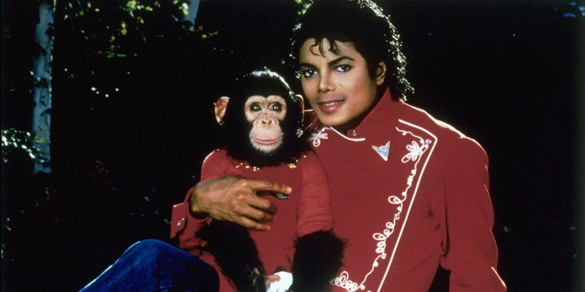 Michael Jackson's chimp Bubbles