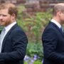 Prince Harry has lost all sense of loyalty to the royal family