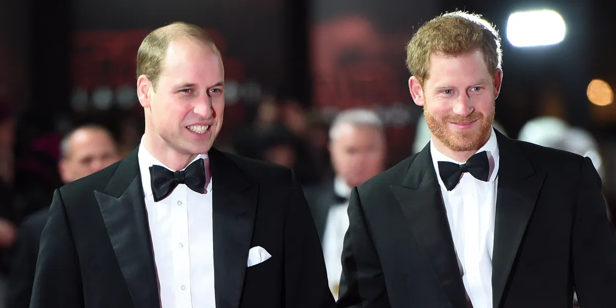 prince harry and prince william