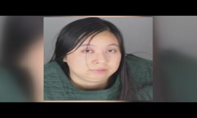 California Women charged with cybercrime and sexual abuse of a 15-year old boy