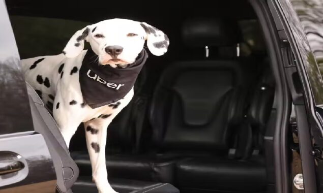 Uber for Pets launching from Tuesday in UK