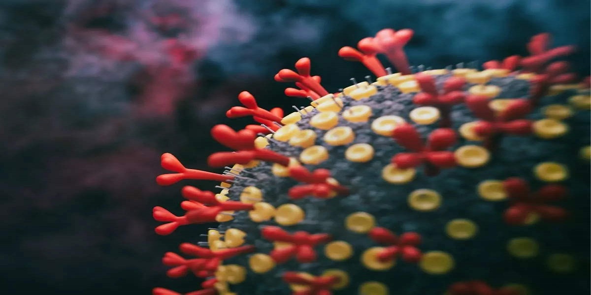 virus