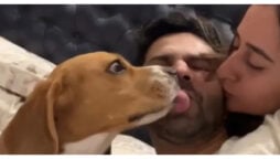 Varun Dhawan showered by kisses