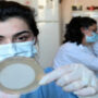 Viruses that could save millions of lives