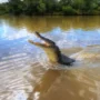 Watch as a crocodile jumps onto a fishing boat, interrupting a couple’s vacation