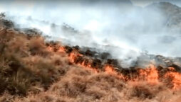 Authorities’ efforts to control the fire in Sherani forest