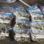 Liverpool man arrested for possession of a sports bag full of cannabis