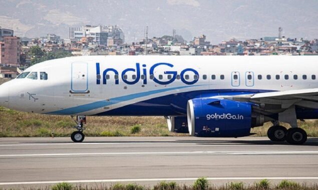 Outrage after Indian airline removes disabled teenager