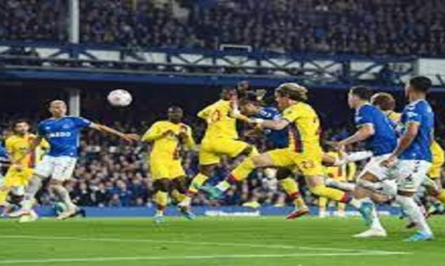 Crutial win for Everton over Crystal Palace