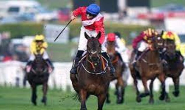 Cheltenham Gold Cup legend A Plus Tard delegated driving leaps horse