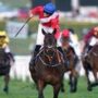 Cheltenham Gold Cup legend A Plus Tard delegated driving leaps horse