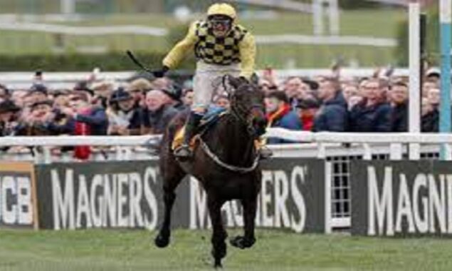 Al Boum Photo, the Cheltenham Gold Cup winner, leads a strong Willie Mullins team at Auteuil