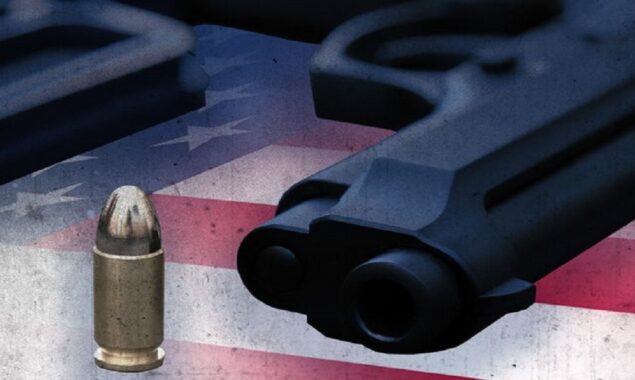 Weapons used in primary school shooting revealed