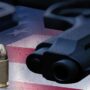 Weapons used in primary school shooting revealed