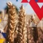 Putin’s invasion is causing a worldwide food crisis
