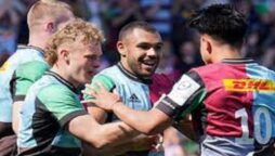 Harlequins