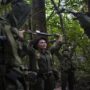 Colombian rebels announce presidential election ceasefire