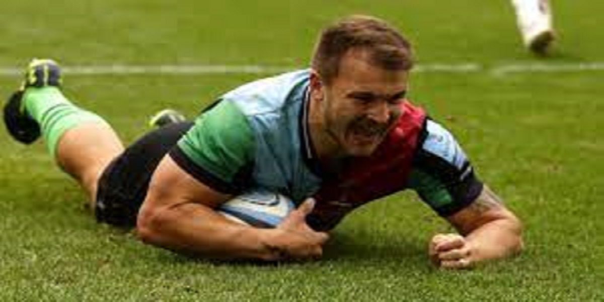 Harlequins