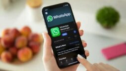 Now you can add up to 512 participants in WhatsApp group