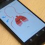 App predicts worsening heart failure weeks before symptom onset  by sound of your voice