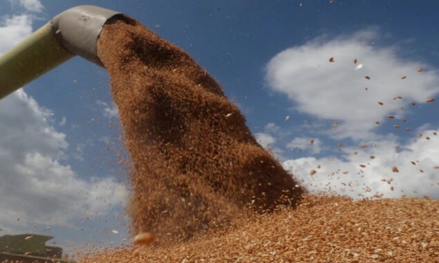 Grain stolen by Russians is already in the Mediterranean