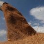 Grain stolen by Russians is already in the Mediterranean