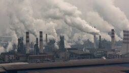 Global pollution kills 9 million people a year