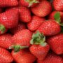 Strawberries have been recalled due to a hepatitis A epidemic