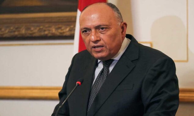 COP27 to initiate attempts to accomplish climate pledges: Egypt’s Foreign Minister