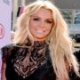 Britney Spears reveals a glimpse of her bridal veil and introduces a new family member