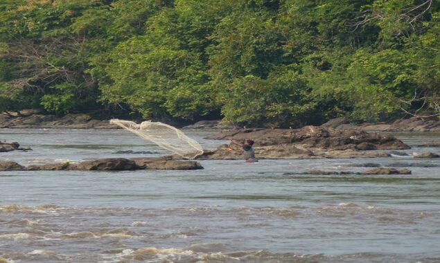 17 bodies discovered in east DR Congo