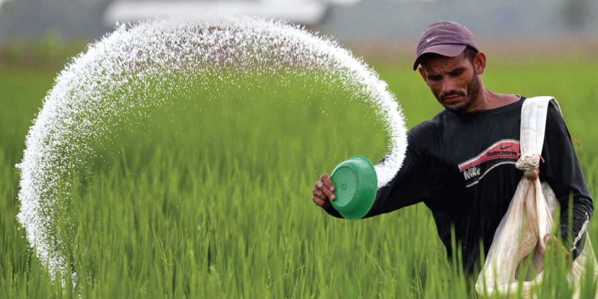 price of fertiliser