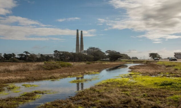 Grid operators warn of an electrical shortfall due to the transition to renewables.