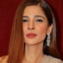 Ayesha Omar looks like a classic bombshell in this shimmery saree; see photos!