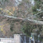 Storms kill eight people in Canada