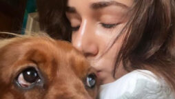 See Photos: Disha Patani relaxes with her pets, Goku and Bella