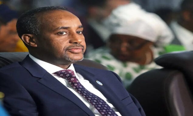 Somali PM suspends Foreign Minister