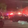Mexican hotel shooting 11 dead, 5 injured