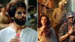 Bhool Bhulaiyaa and Kabir Singh