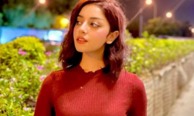 Alizeh Shah’s new picture makes round on social media