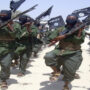 Al-Shabab terrorists were killed by Somali forces