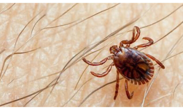 Northern Iraq registers Congo fever death