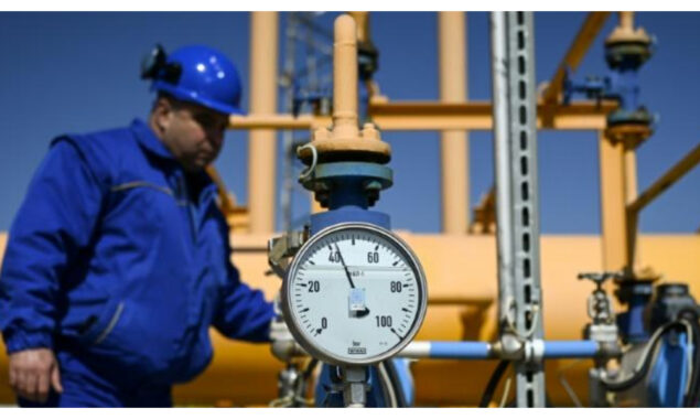 Bulgaria industry on tenterhooks after Russia gas cut