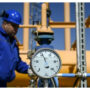 Bulgaria industry on tenterhooks after Russia gas cut